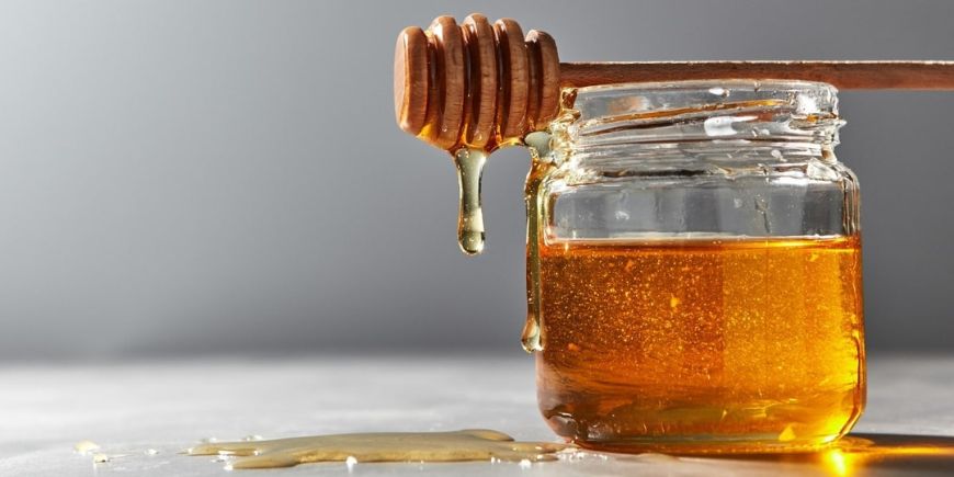 bdzholynyi-med-na-storozhi-virusiv-ta-infektsii-foto